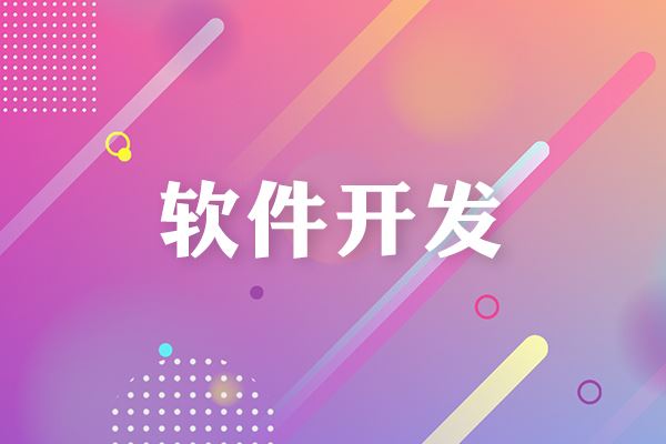 軟件開發